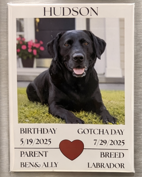 Set of two dog-themed magnets on a metallic surface