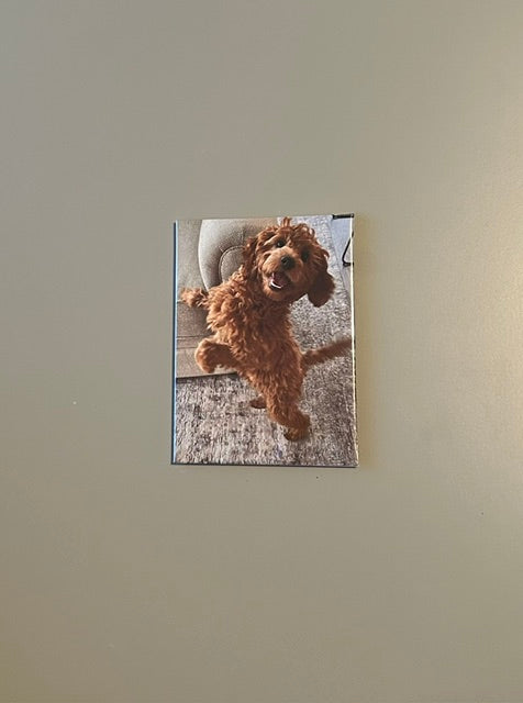 Custom Photo Magnets (2.5" x 3.5")