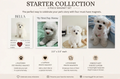 2.5" x 3.5" PetStory Collections