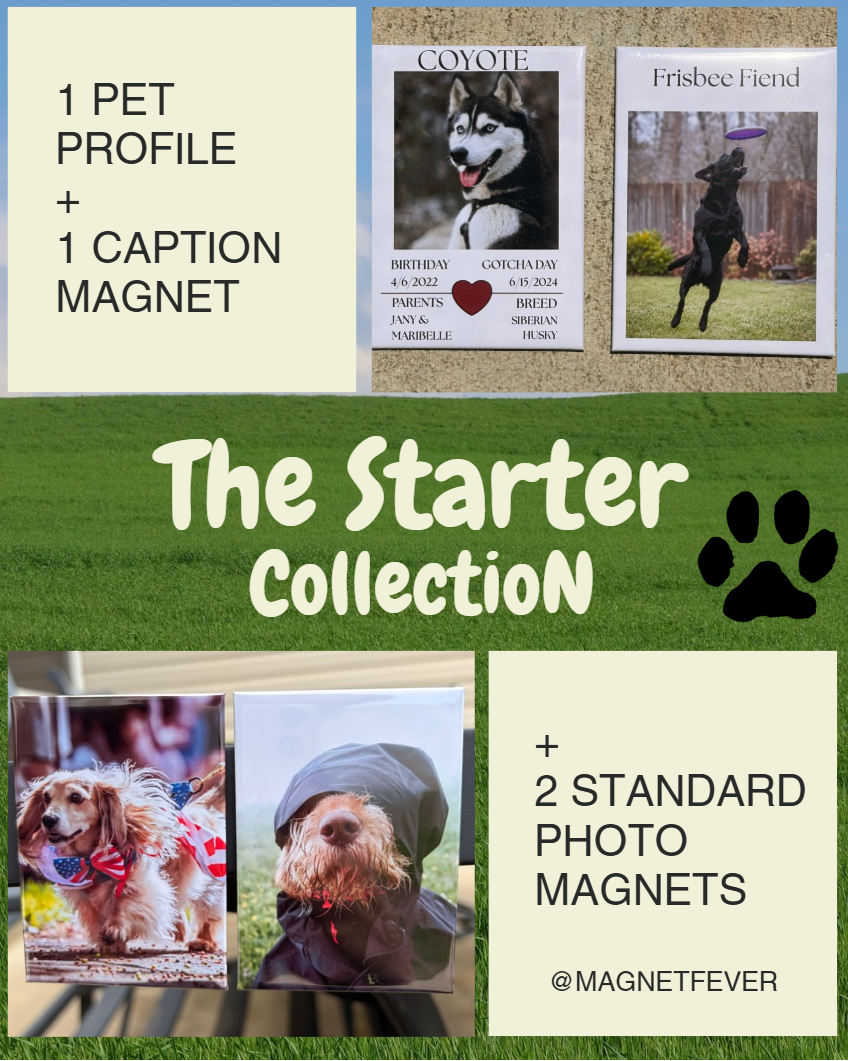 Promotional graphic for 'The Starter Collection' featuring pet profile and caption magnets with images of dogs.