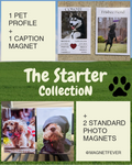 Promotional graphic for 'The Starter Collection' featuring pet profile and caption magnets with images of dogs.