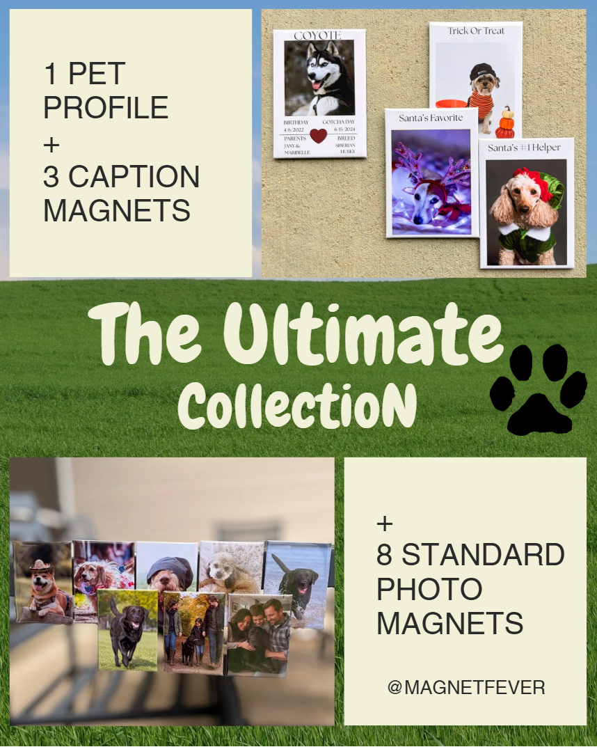 Promotional graphic for photo magnet collection with text and images of dogs on a grass background.